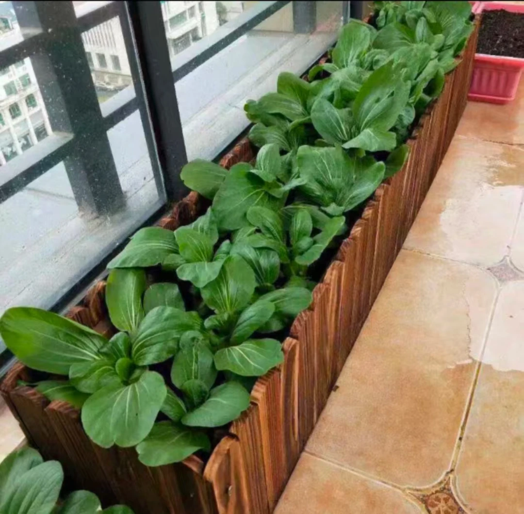 碳化防腐实木花箱室内外种菜庭院阳台花盆户外长方形木质花槽耐用