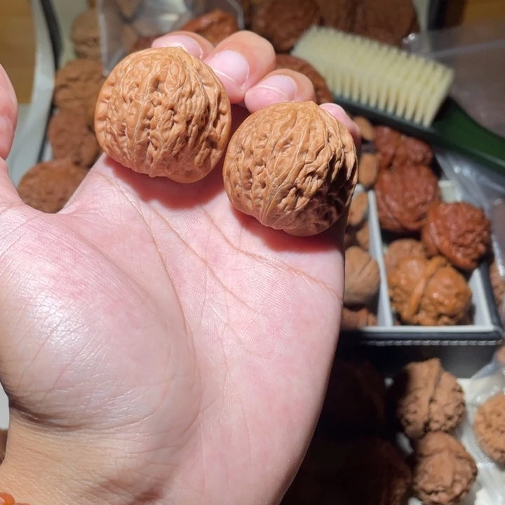 36尺寸全品无修铁锤