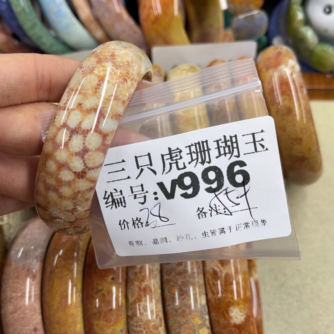 无***念硅化珊瑚（珊瑚玉）未镶嵌h