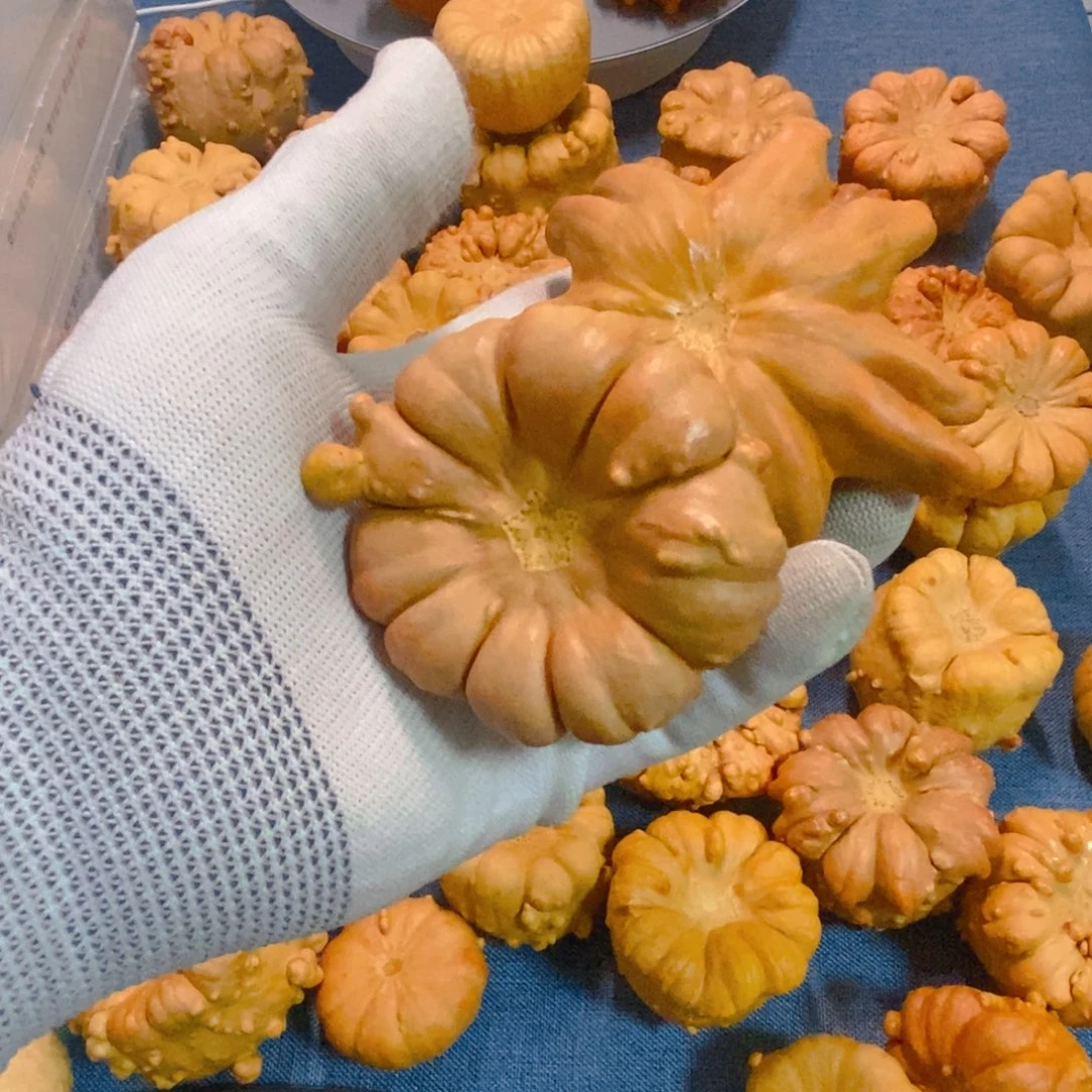 好***人葫芦墨西哥七彩疙瘩葫芦手把件