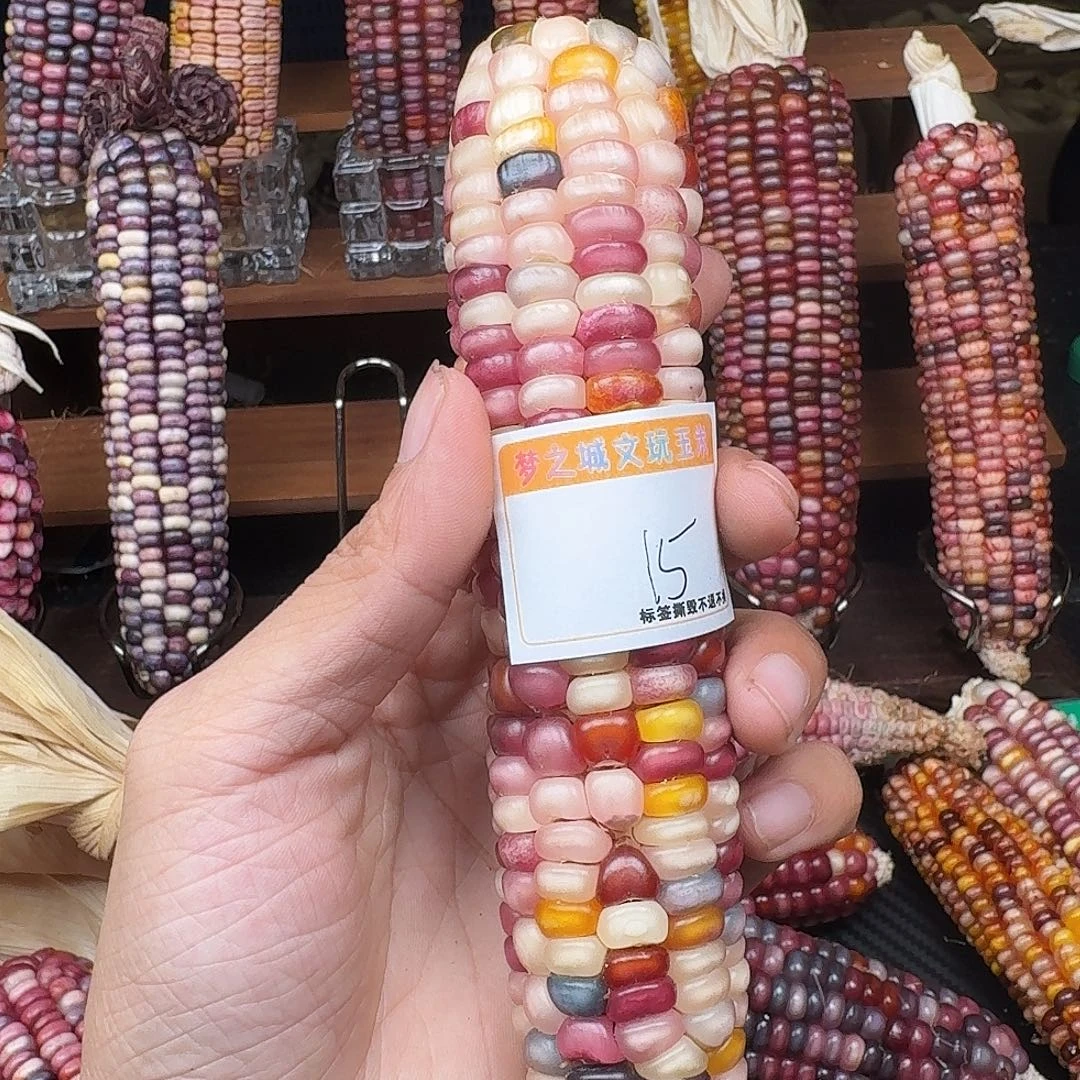 ****F吊坠柏香籽/百香籽