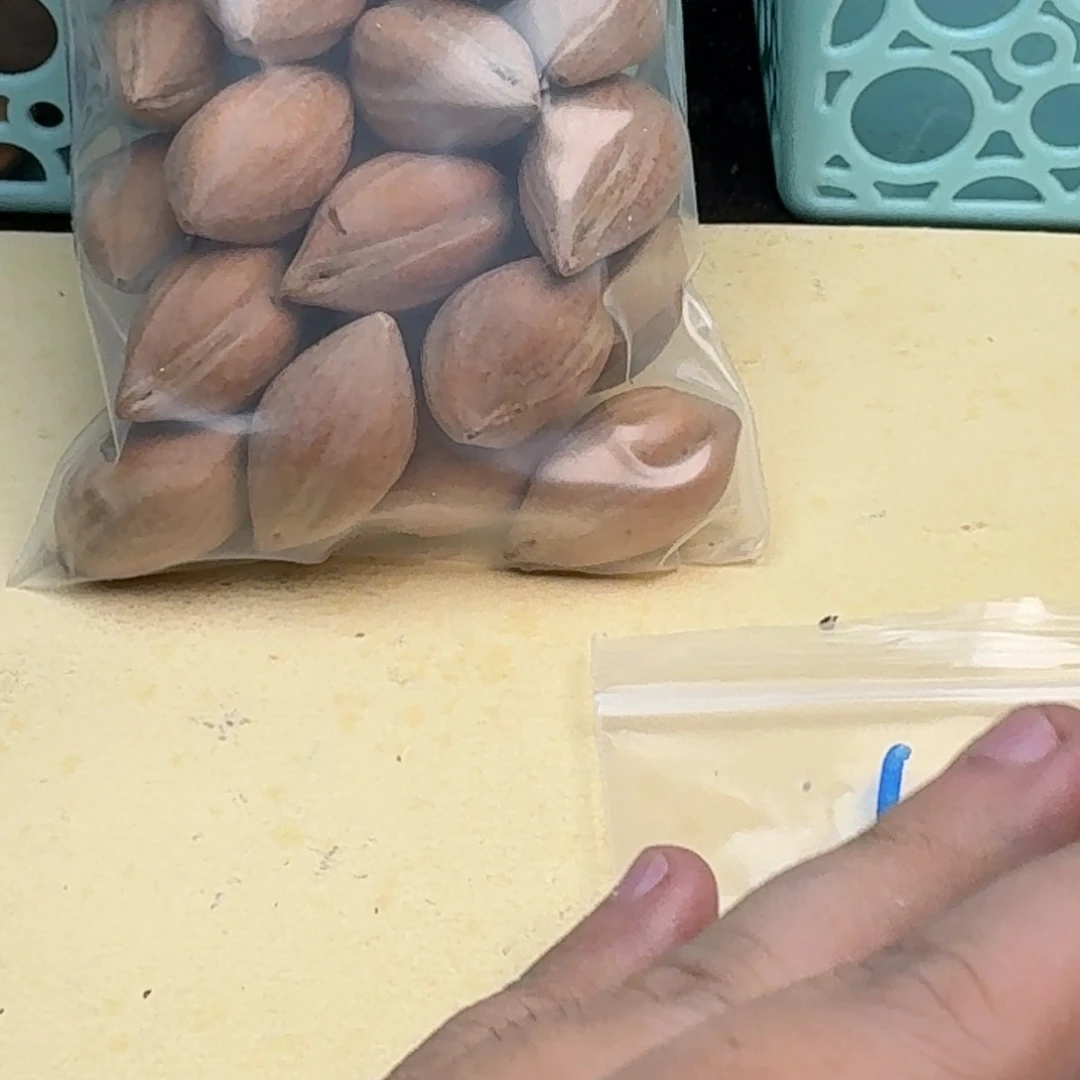 远***橄榄核手串/手链1