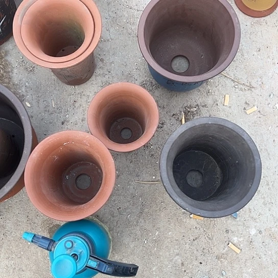 紫砂工艺厂……紫砂工艺厂……