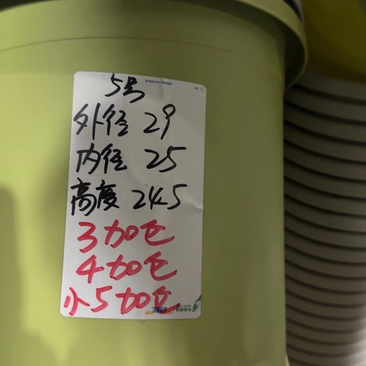 微瑕5号无托果绿6个