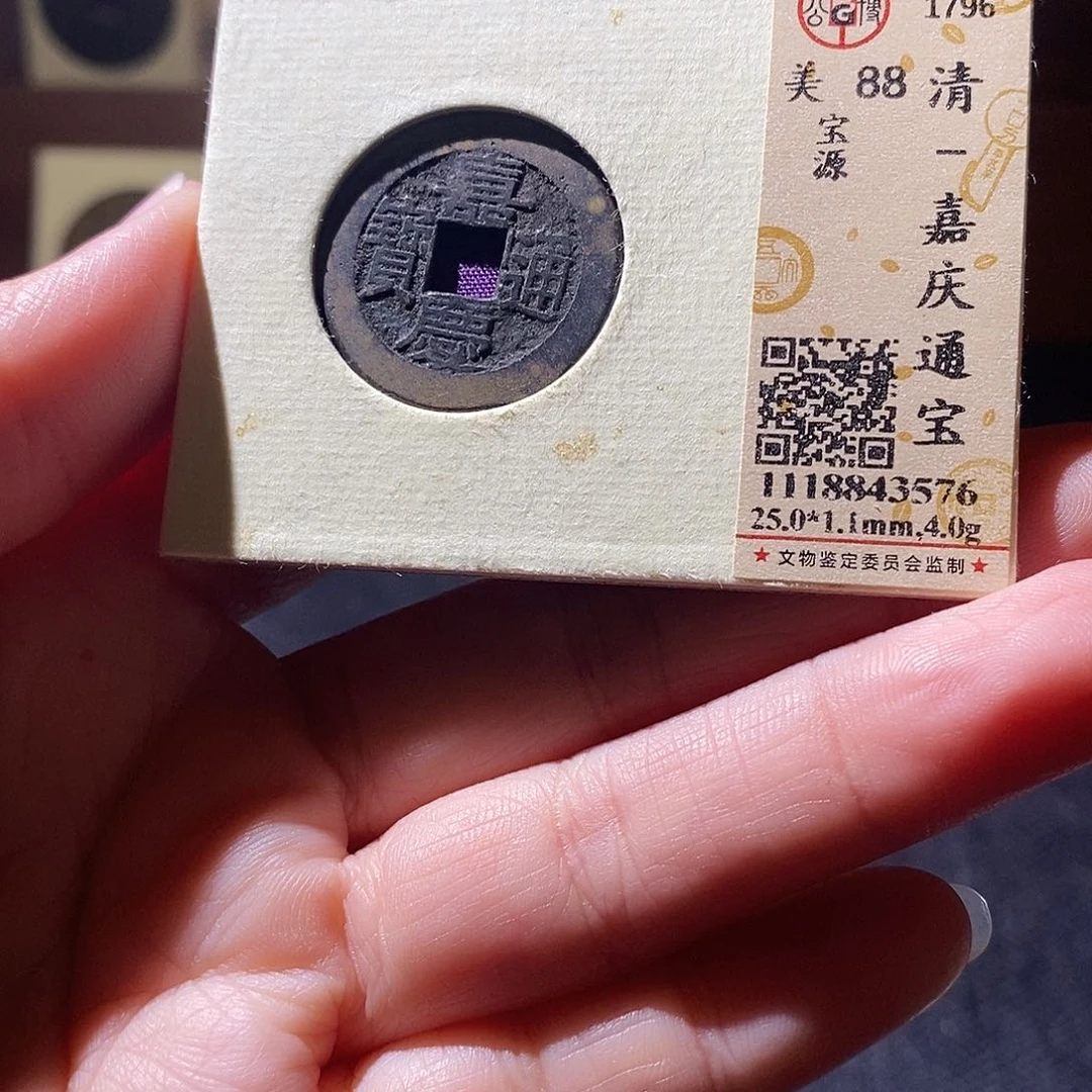 贝壳12 恭喜发财恭喜发财