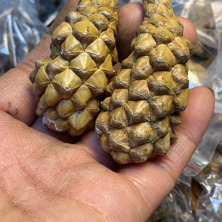 吊坠桃核哪里的你都137