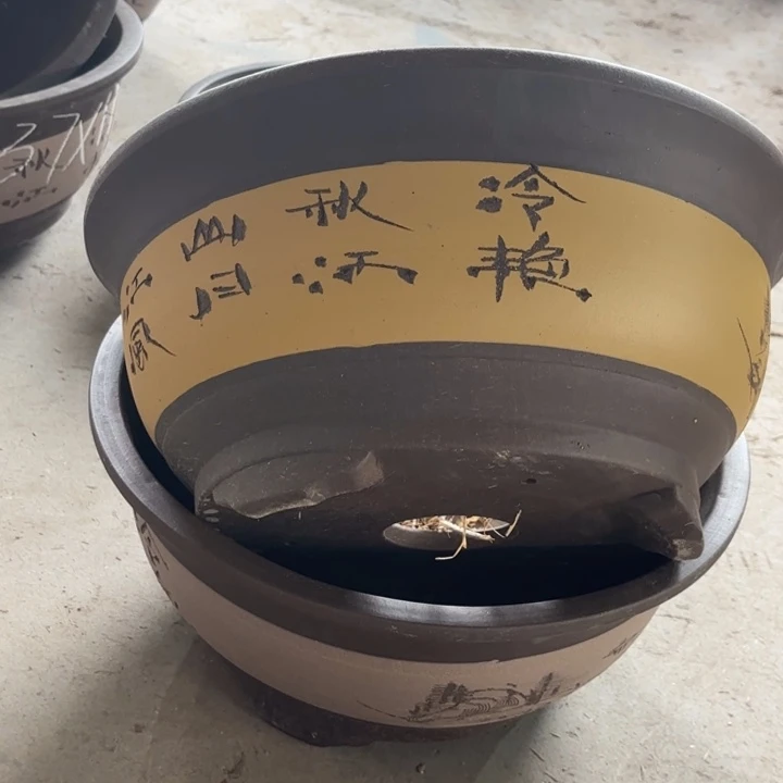 紫砂花盆  60-2。 37-17