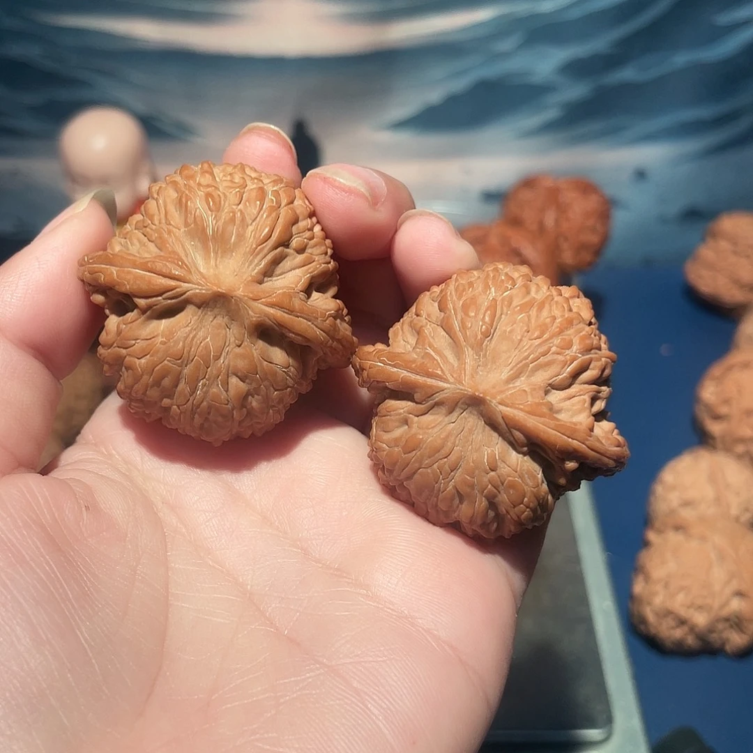 大叶紫檀（黑酸枝木类）