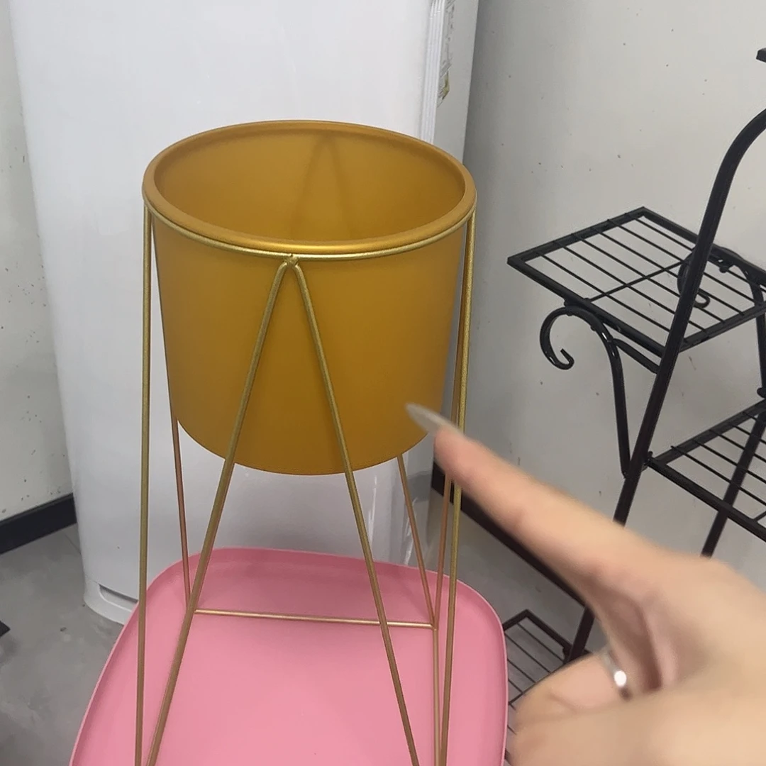 孤品给力炸炸炸炸炸