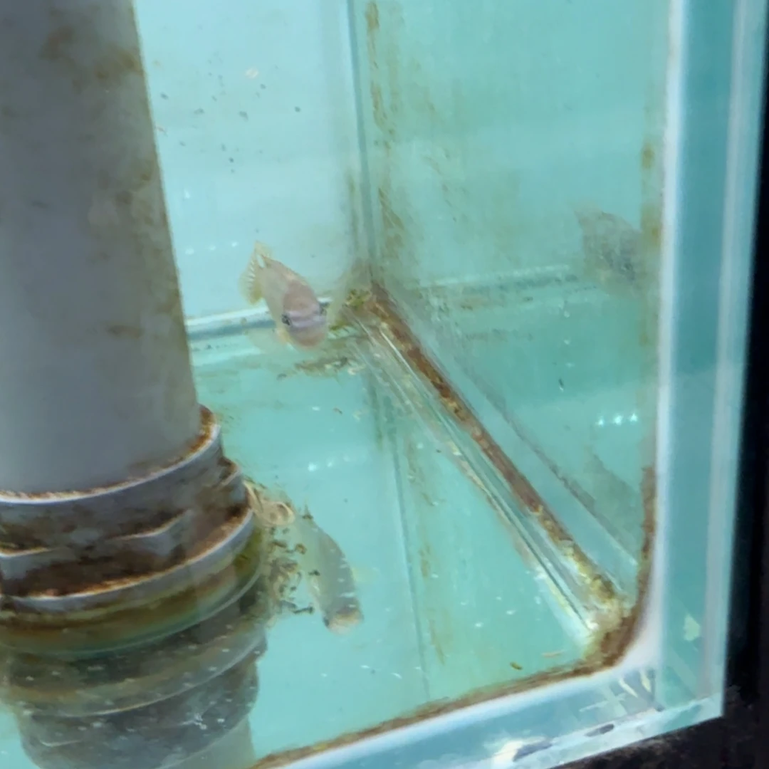 固***见海水1056卡丑母。