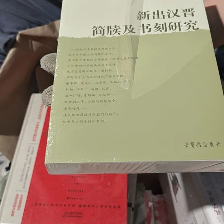新出汉晋简牍及书刻研究平装