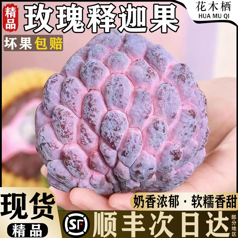 【红龙玫瑰释迦果 香甜软糯】顺丰云南当季鲜果番荔枝佛头果包邮