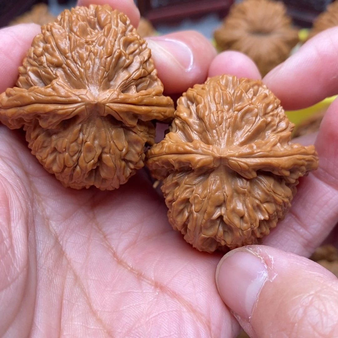 文玩核桃把件全品毕业白狮子39尺