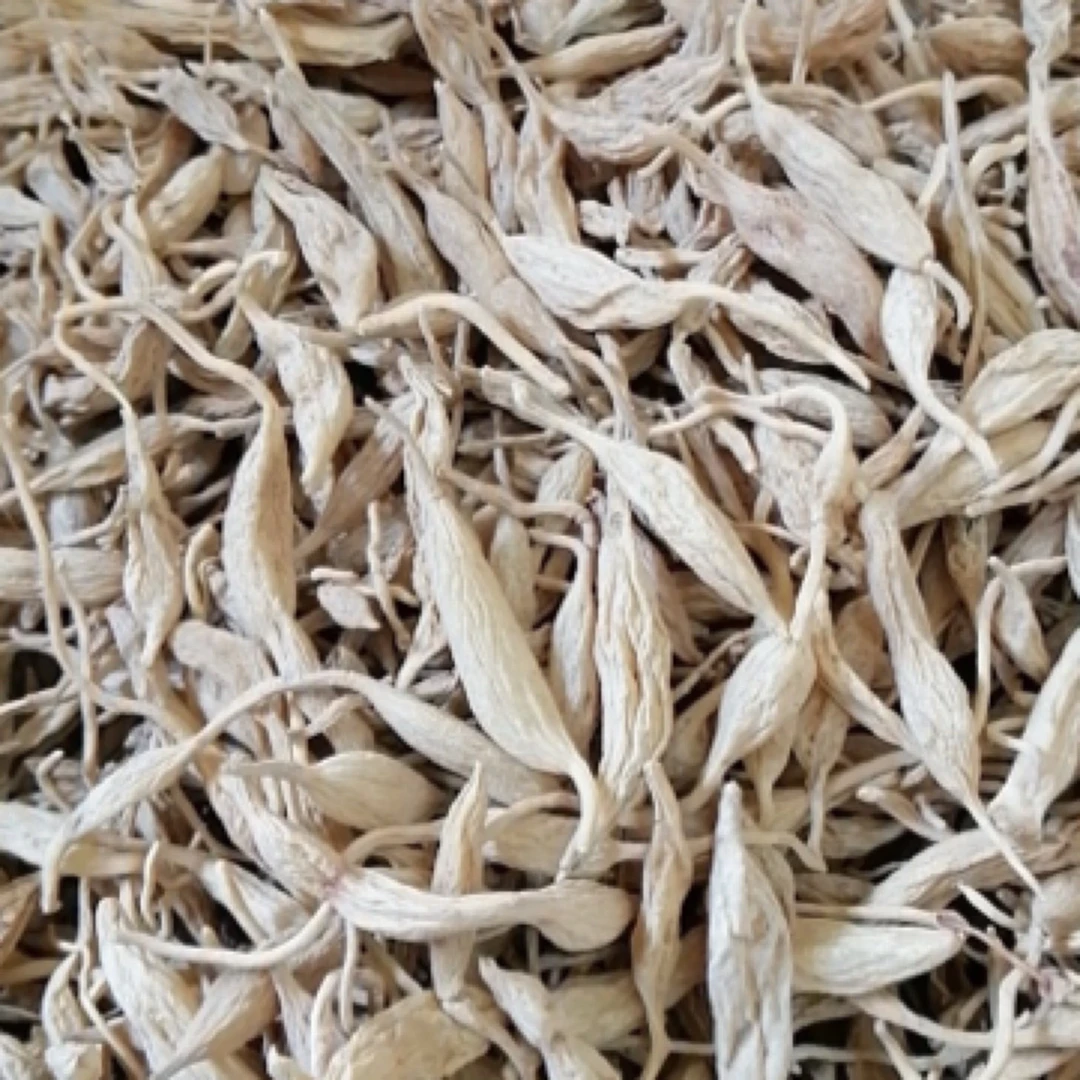 湘西木木野生麦冬