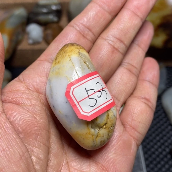 颈饰未镶嵌和田玉一****牙503