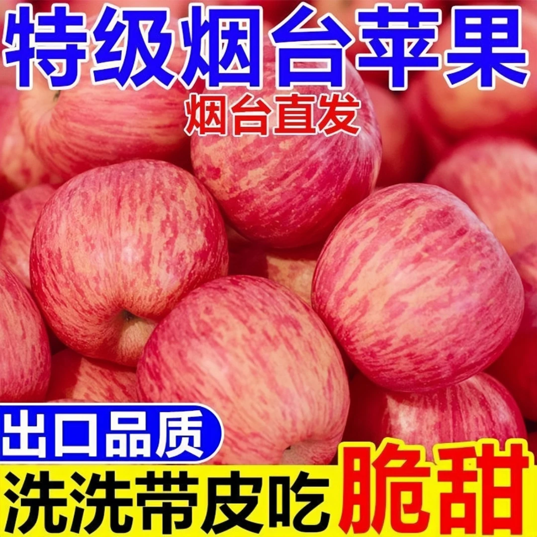 【特大果】正宗烟台红富士苹果新鲜苹果脆甜可口5/10斤