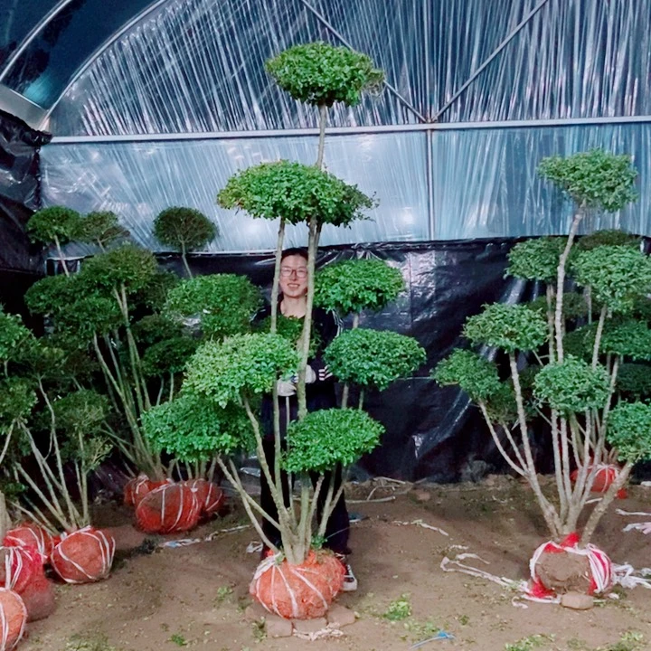 一物一图一物一拍