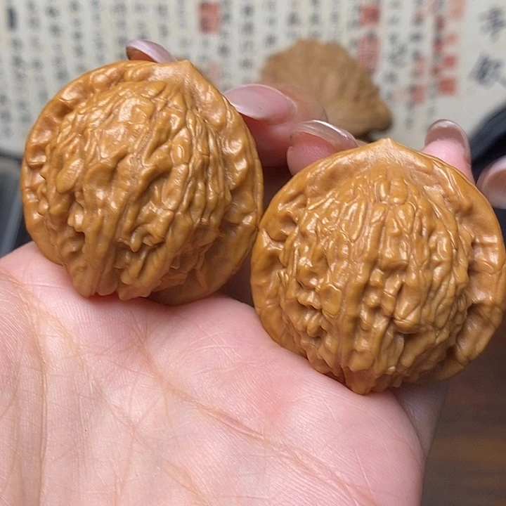 38全品粗棱大红袍