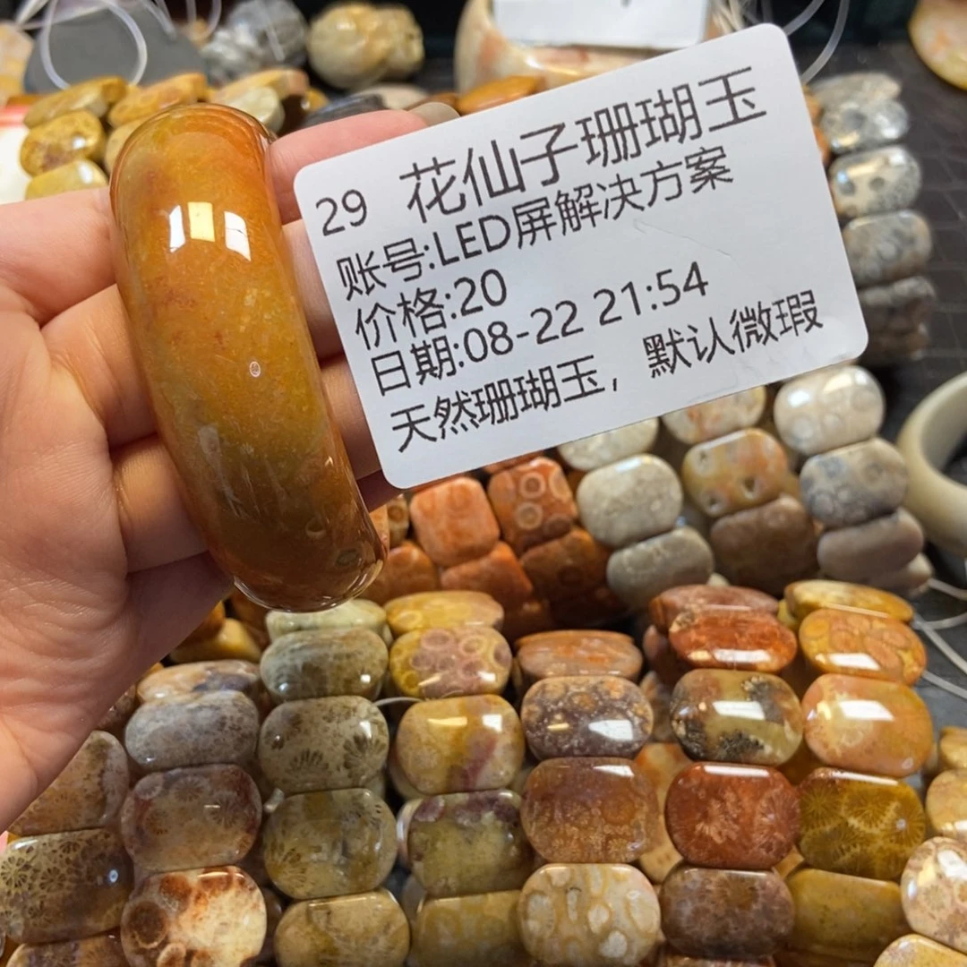 L***案未镶嵌硅化珊瑚（珊瑚玉）珠宝半成品29