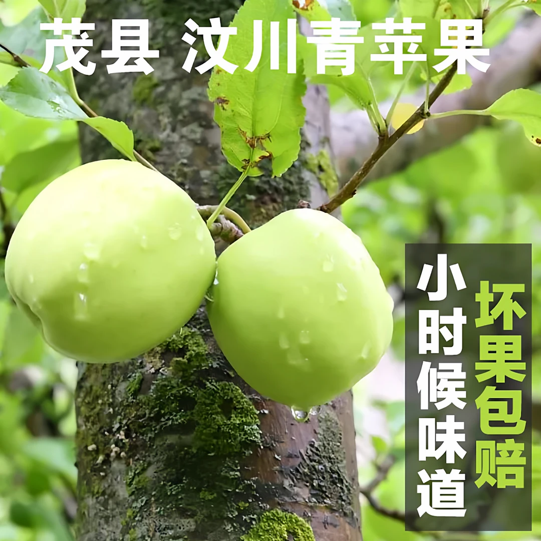 阿坝汶川茂县皇冠青苹果酸甜可口