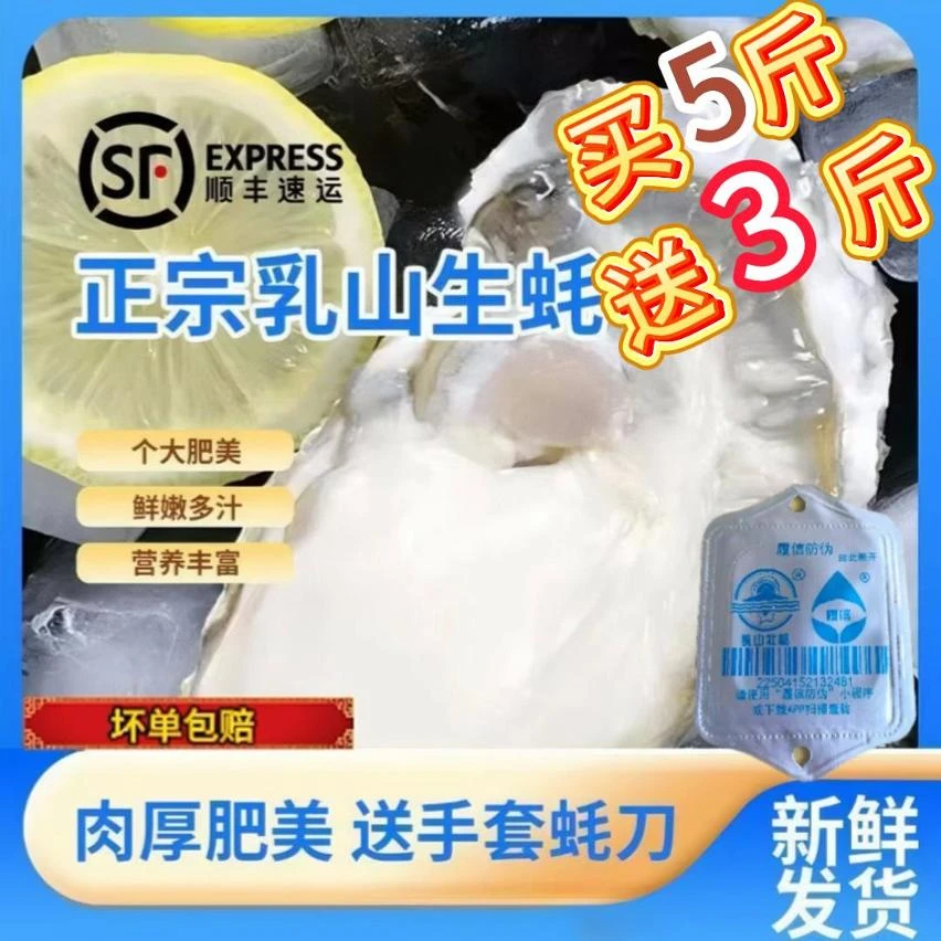 【买5斤送3斤】正宗乳山免洗级金标生蚝鲜活海鲜水产海蛎子新鲜牡蛎