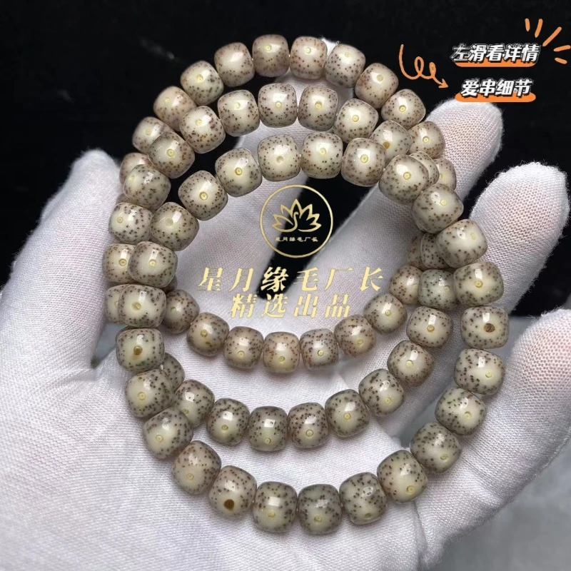 F108原生态星月菩提糯冰老料黄金瞳9*8mm文玩【多样性发货】