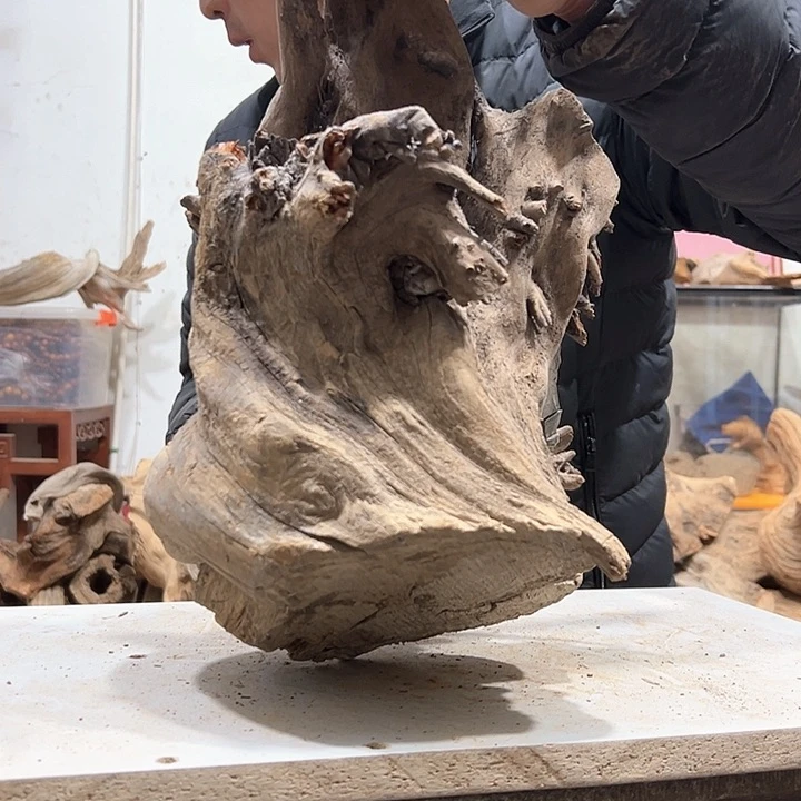 柏木龍*軒我们都是好孩子啊哈