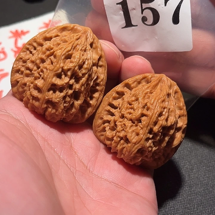 木质111111111111111