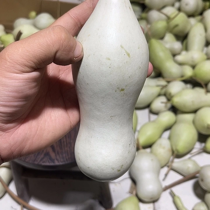 非洲紫檀（红花梨）金*歌