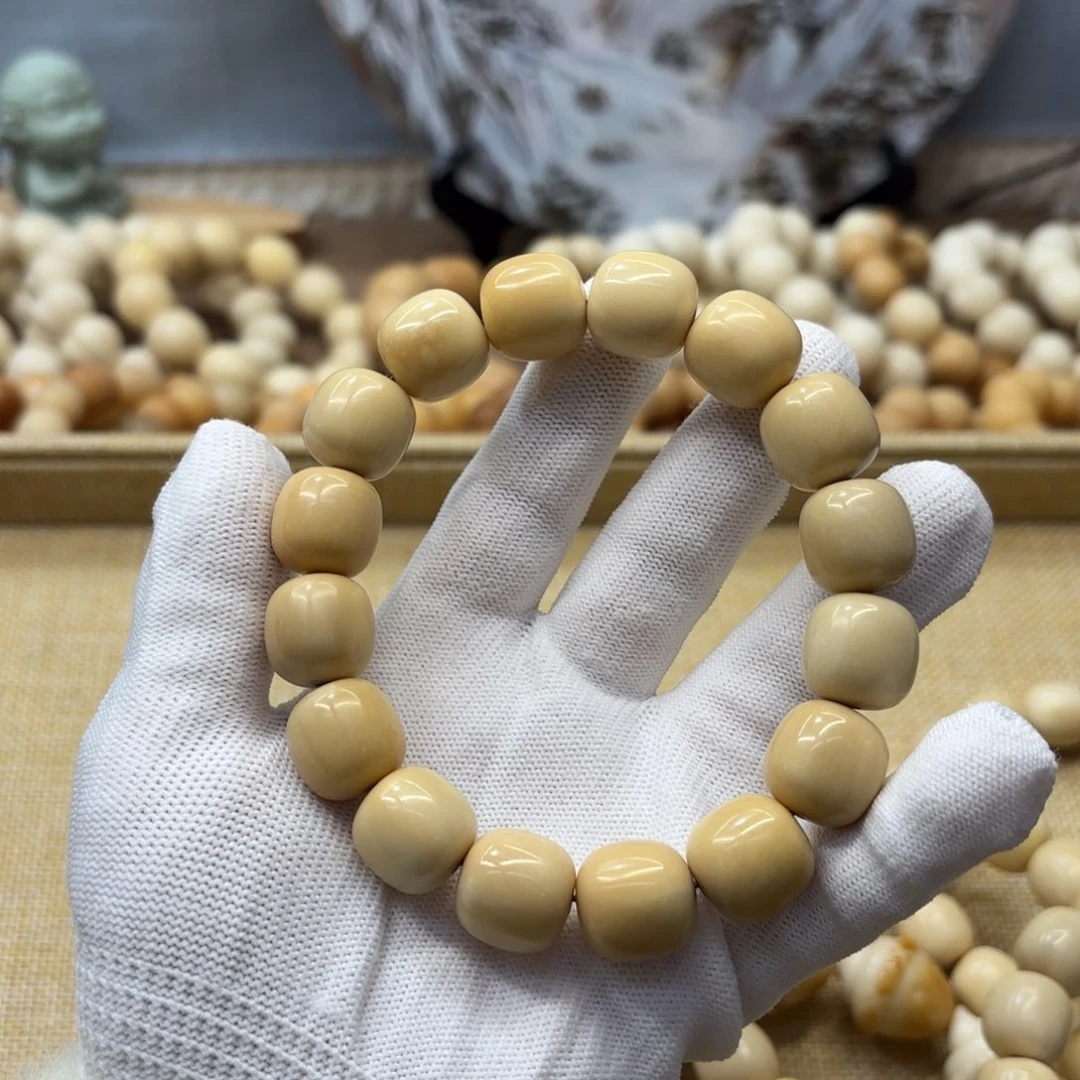 吊坠菩提根/象牙果15干磨瑕疵牙果桶819