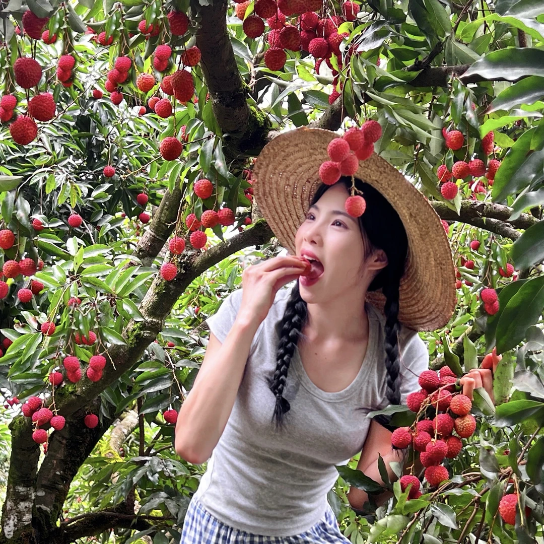 （老树桂味）广西灵山桂味风味十足皮薄肉厚超甜顺丰冷链新鲜应季