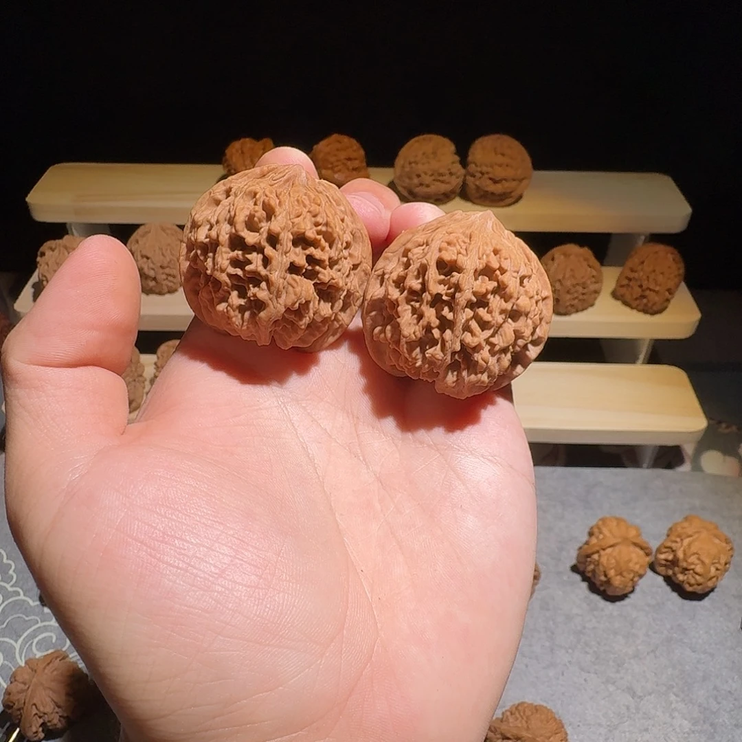 大叶紫檀（黑酸枝木类）