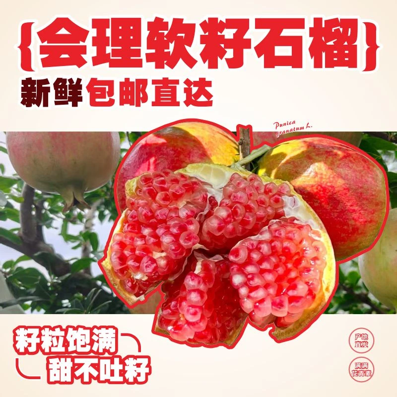 【现货！爆甜】突尼斯软籽石榴新鲜采摘水果整箱3/5斤纯甜爆汁