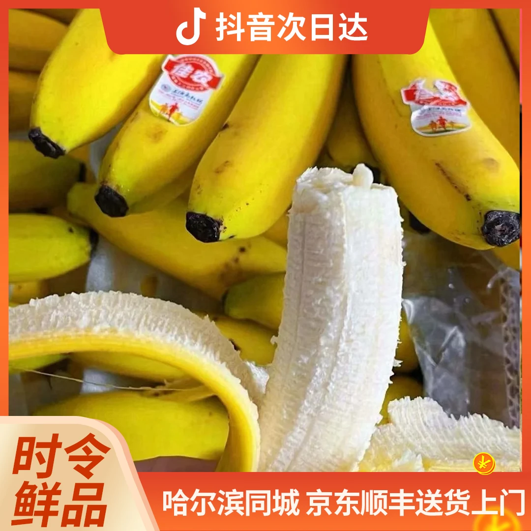 佳农进口香蕉 2.8斤装 表皮摩擦会略有黑斑不影响食用非售后范围