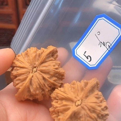 文玩核桃吊坠高**水蟠龙