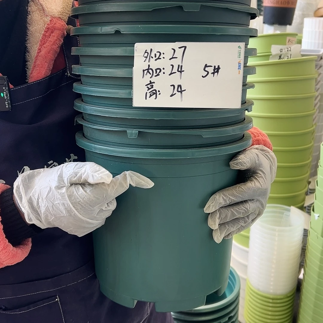 瑕疵5#加仑墨绿色10个无托