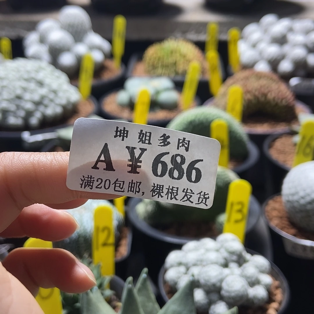 686