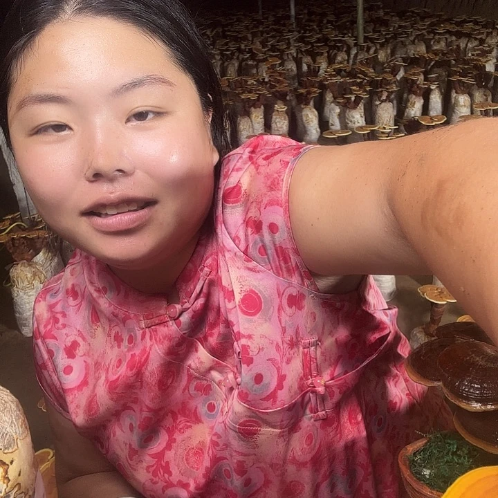 无花朵福****九灵芝孢子粉和