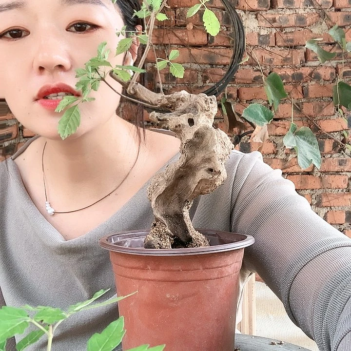 【闪购商品】完全开放难****涂