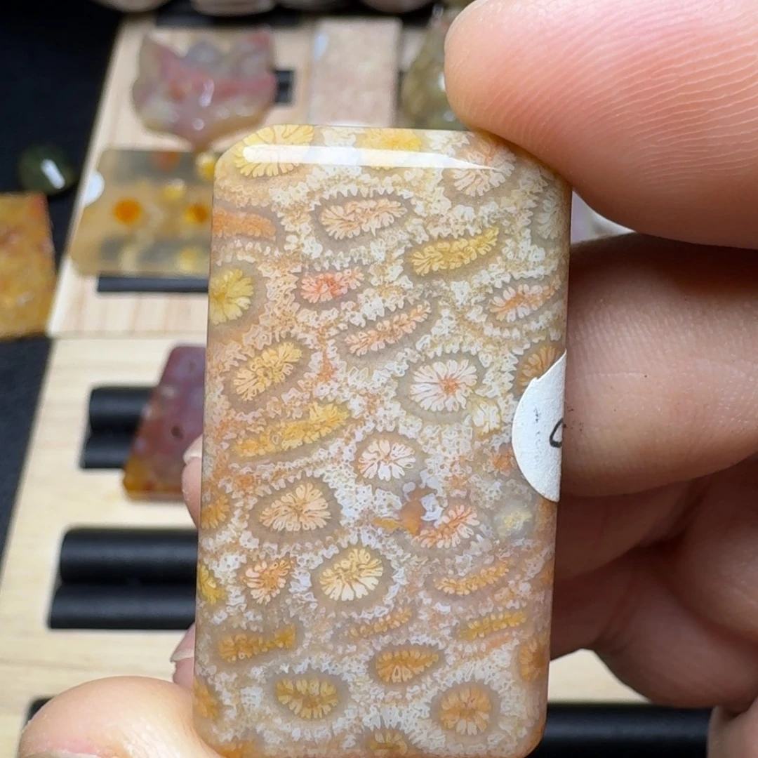 未镶嵌纯天然色有机玉石保真色硅化玉