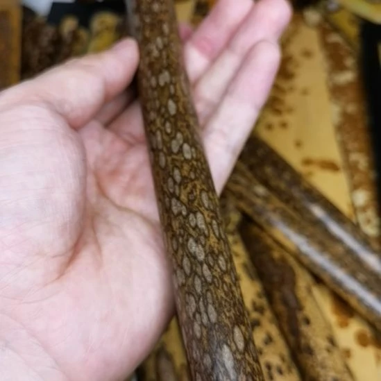 扇子梅鹿扇子料一根