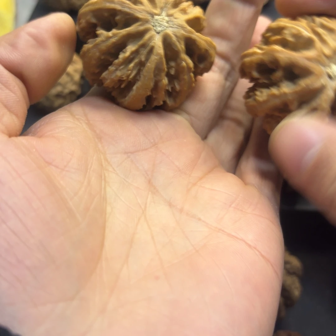 彭***生吊坠文玩核桃55566666