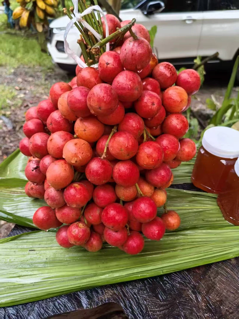 云南三丫果木奶果米汤果达铃果新鲜高山地区当季现摘水果