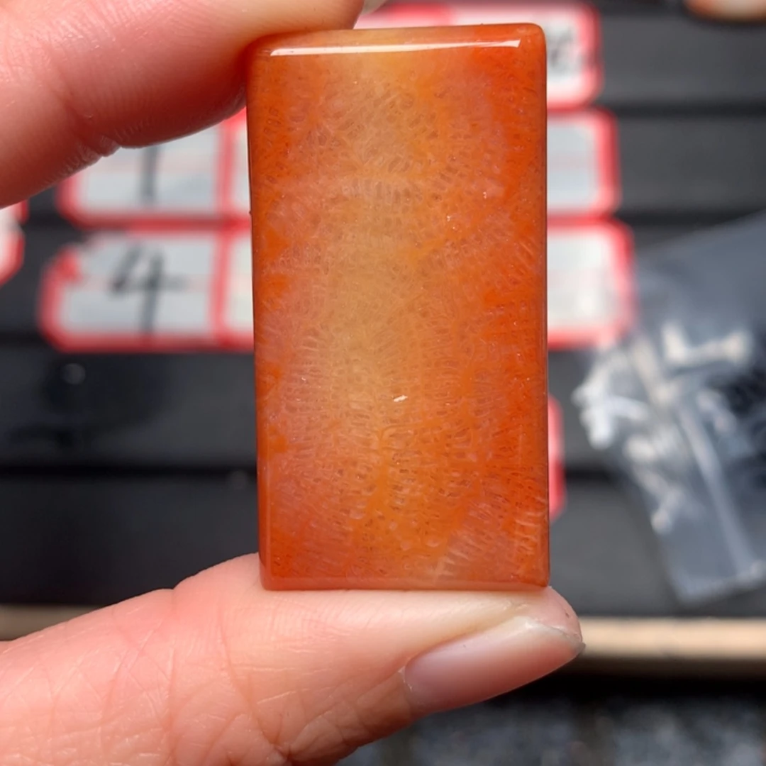 【闪购商品】硅化玉颈饰未镶嵌你****一
