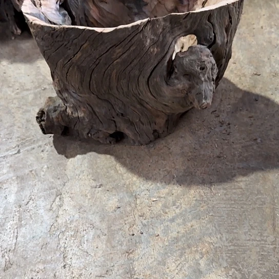 阿*紫砂噜啦啦啦啦啦啦