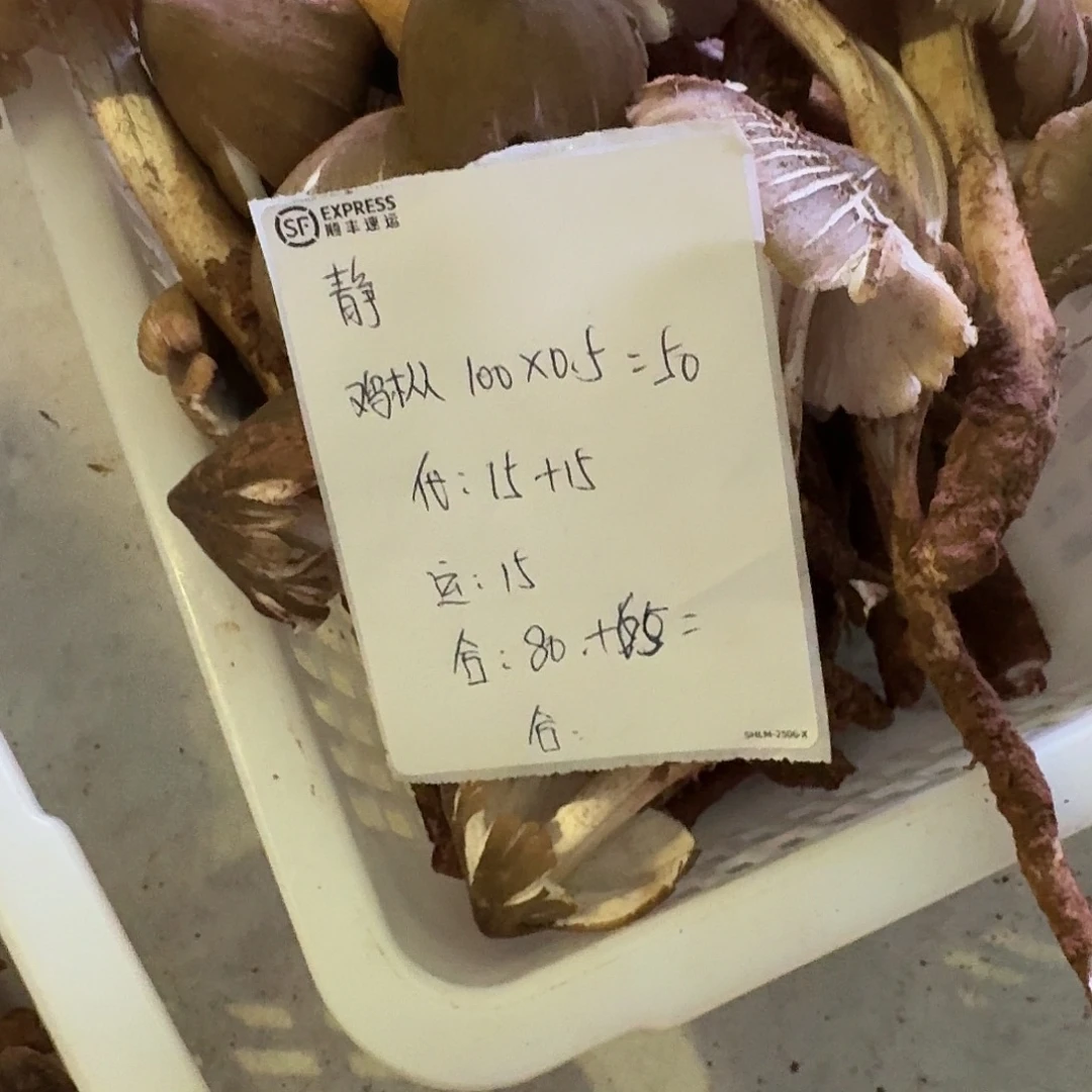 静***菌子中国大陆菌子