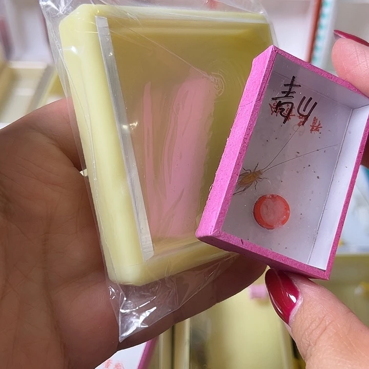 青***铺蟋蟀哈哈哈哈哈哈哈哈哈哈