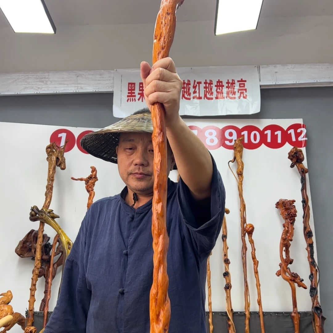 蒋***颠黑果木其他黑果木406