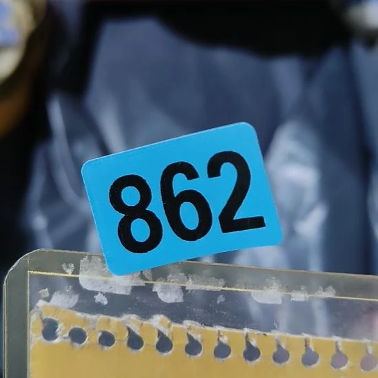 釒***兴民俗文化研究中心