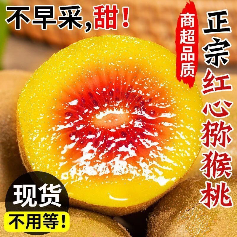 正宗贵州六盘水猴场红心猕猴桃奇异果软糯香甜，超好吃！